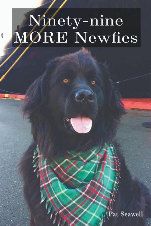 Ninety-nine MORE Newfies - 