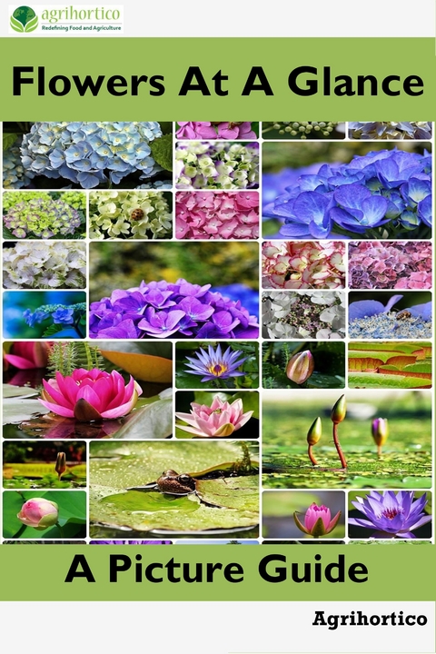 Flowers at a Glance - 