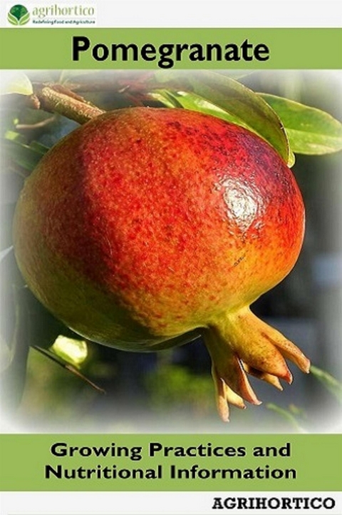 Pomegranate - Agrihortico Cpl