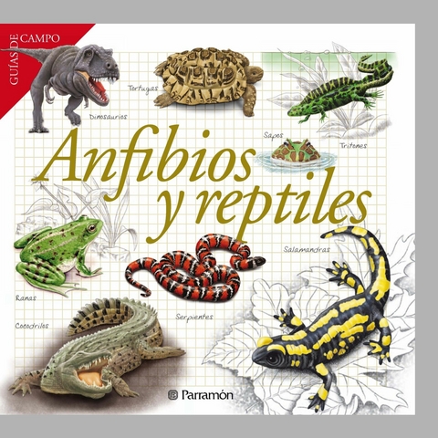 Anfibios y reptiles - Maria Àngels Julivert