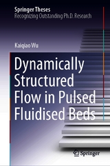 Dynamically Structured Flow in Pulsed Fluidised Beds - Kaiqiao Wu
