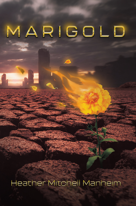 Marigold -  Heather Mitchell Manheim