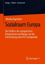 Sozialraum Europa - Monika Eigmüller