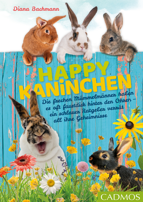 Happy Kaninchen - Diana Bachmann