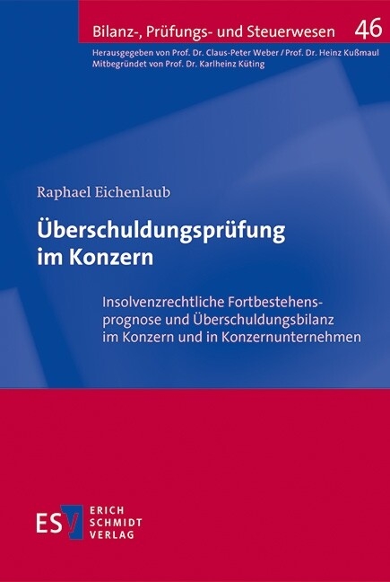 Überschuldungsprüfung im Konzern -  Raphael Eichenlaub