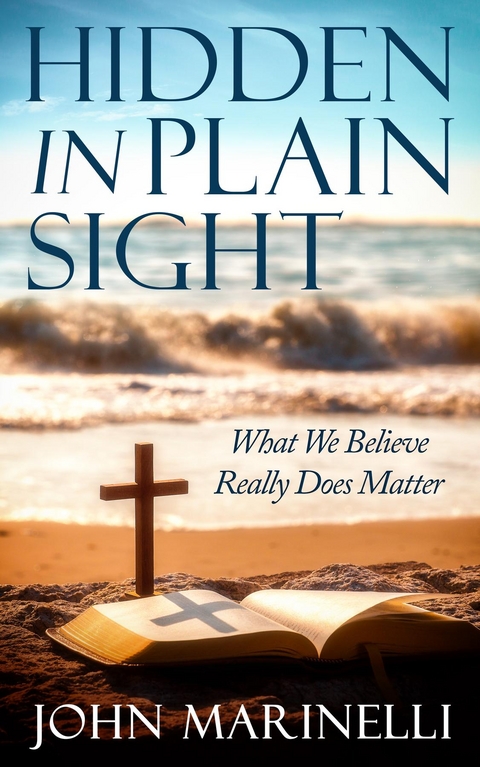 Hidden In Plain Sight -  John Marinelli