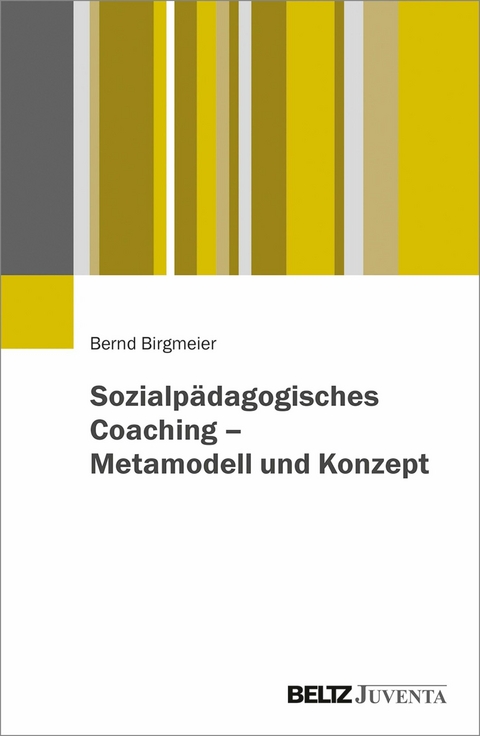 Sozialpädagogisches Coaching - Metamodell und Konzept -  Bernd Birgmeier