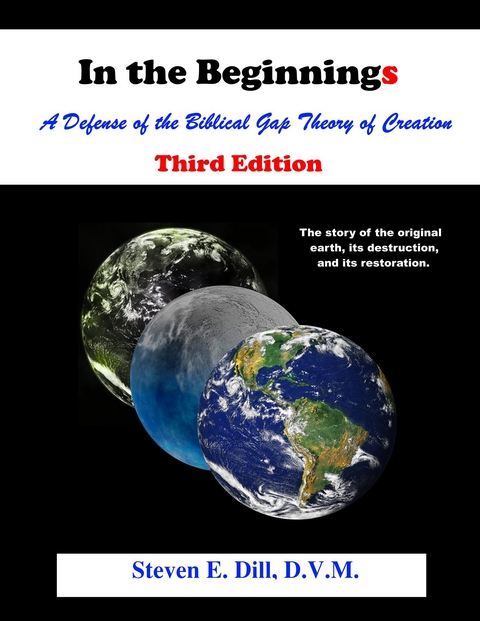 In The Beginnings -  Steven E Dill