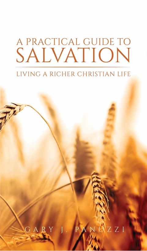 A Practical Guide to Salvation - Gary J. Panuzzi