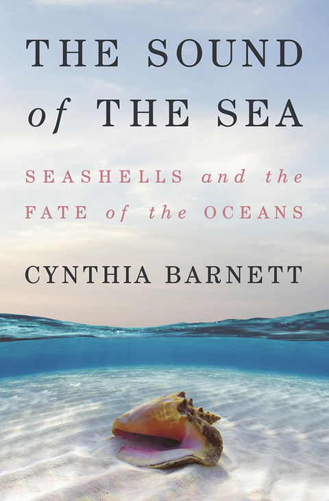 Sound of the Sea -  Cynthia Barnett