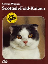 Scottish-Fold-Katzen - Wagner, Ortrun