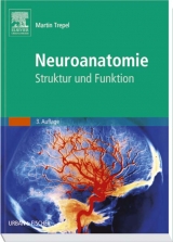 Neuroanatomie - Martin Trepel