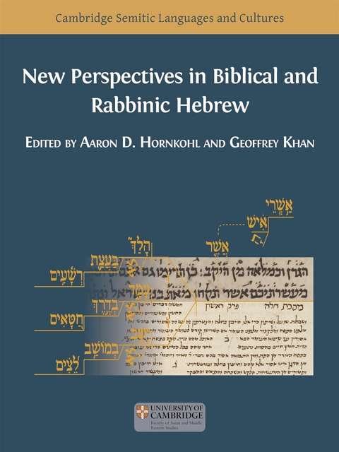 New Perspectives in Biblical and Rabbinic Hebrew - Aaron Hornkohl, Geoffrey Khan