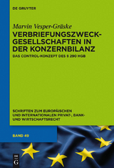 Verbriefungszweckgesellschaften in der Konzernbilanz - Marvin Vesper-Gräske