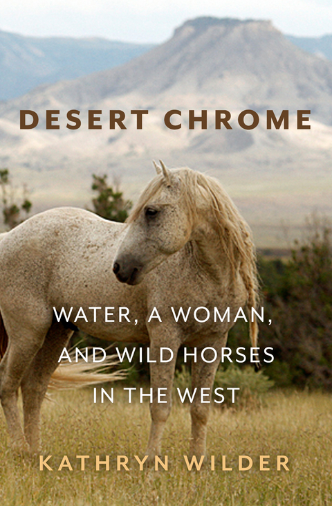 Desert Chrome - Kathryn Wilder