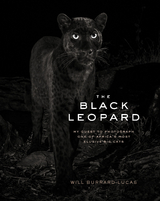 The Black Leopard - Will Burrard-Lucas