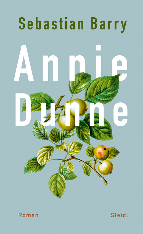 Annie Dunne - Sebastian Barry