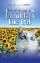 The Adventures of Lambkin the Cat - Jill Kelley Widmann