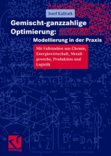 Gemischt-ganzzahlige Optimierung: Modellierung in der Praxis - Josef Kallrath