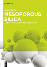 Mesoporous Silica - Shunai Che