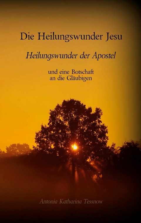 Die Heilungswunder Jesu, Heilungswunder der Apostel - Antonia Katharina Tessnow