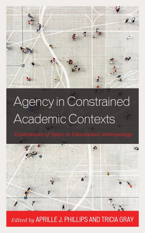 Agency in Constrained Academic Contexts - 