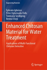 Enhanced Chitosan Material for Water Treatment - Ephraim Igberase, Peter Ogbemudia Osifo, Tumisang Seodigeng, Ikenna Emeji