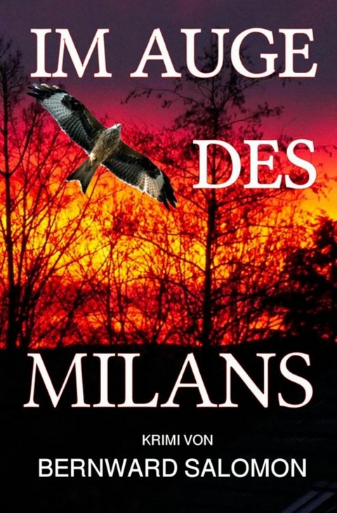 Im Auge des Milans - Bernward Salomon