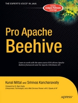 Pro Apache Beehive - Srinivas Kanchanavally, Kunal Mittal