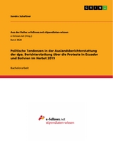 Politische Tendenzen in der Auslandsberichterstattung der dpa. Berichterstattung über die Proteste in Ecuador und Bolivien im Herbst 2019 - Sandra Schaftner