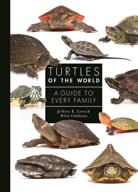 Turtles of the World -  Whit Gibbons,  Jeffrey E. Lovich