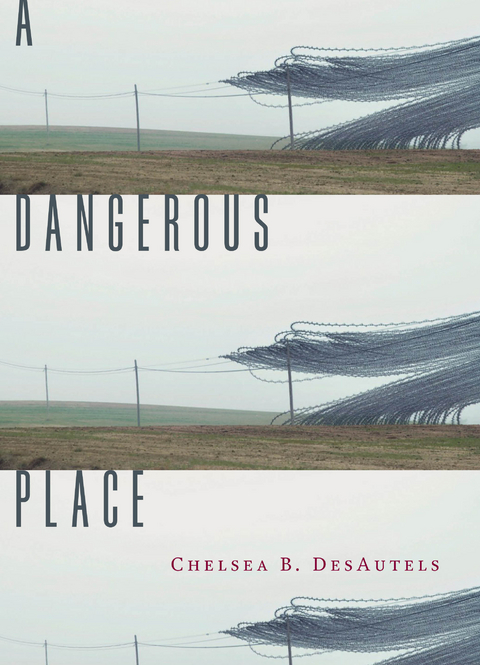 Dangerous Place -  Chelsea B. DesAutels