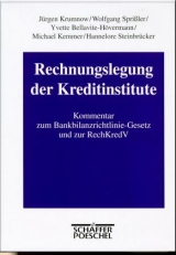 Rechnungslegung der Kreditinstitute - Jürgen Krumnow, Wolfgang Sprißler, Yvette Bellavite-Hövermann, Michael Kemmer, Hannelore Steinbrücker