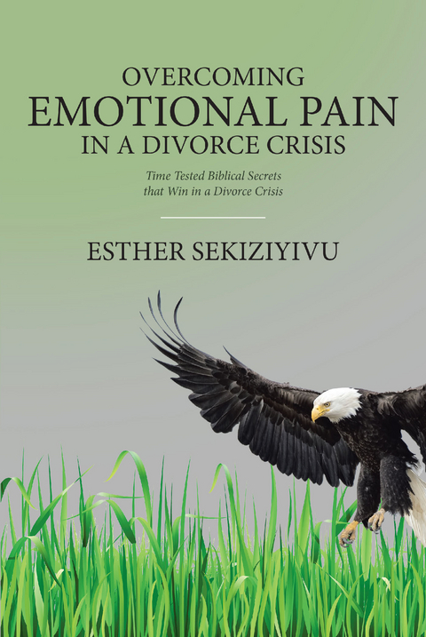 Overcoming Emotional Pain in a Divorce Crisis -  Esther Sekiziyivu