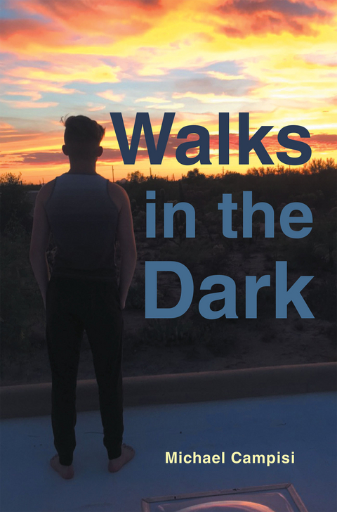 Walks in the Dark -  Michael Campisi