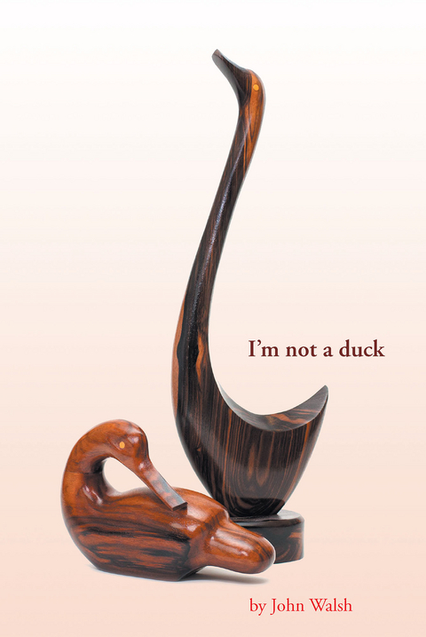 I'm not a duck -  John Walsh