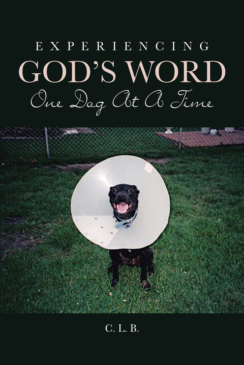 Experiencing God's Word One Dog At A Time - C. L. B.