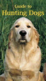 Guide to Hunting Dogs - 