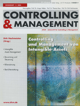 Controlling und Management von Intangible Assets - 