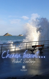 Chemin faisant… - Hubert Santonja