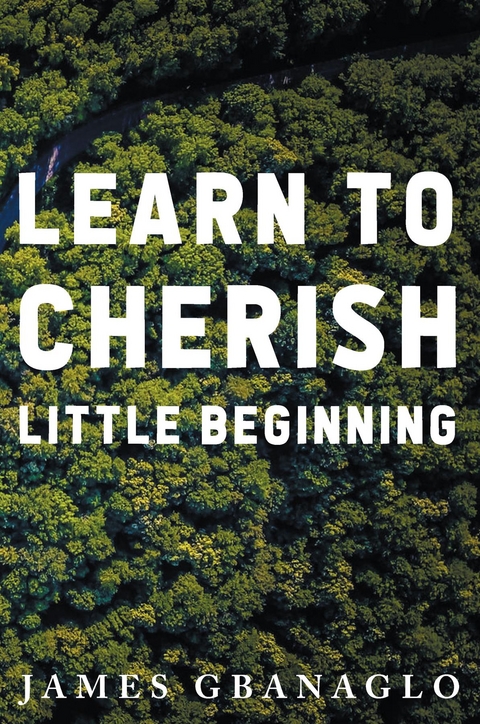 Learn To Cherish Little Beginning -  James Gbanaglo