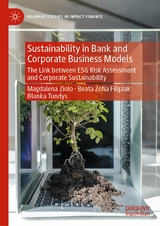 Sustainability in Bank and Corporate Business Models -  Magdalena Ziolo,  Beata Zofia Filipiak,  Blanka Tundys