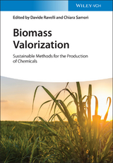 Biomass Valorization - 