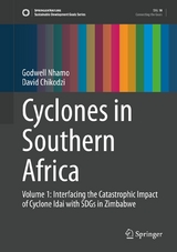 Cyclones in Southern Africa - Godwell Nhamo, David Chikodzi