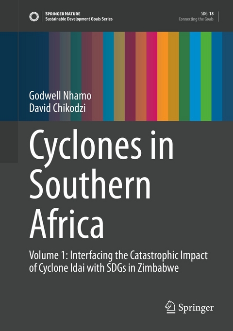 Cyclones in Southern Africa - Godwell Nhamo, David Chikodzi