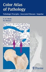 Color Atlas of Pathology -  Urs-Nikolaus Riede,  Martin Werner