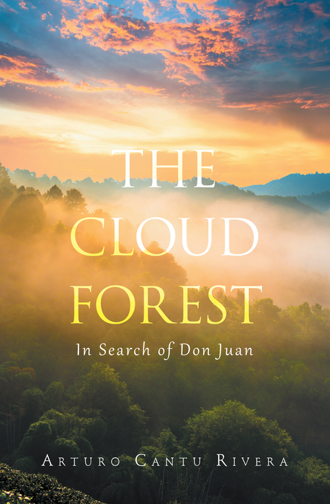 Cloud Forest -  Arturo Cantu Rivera