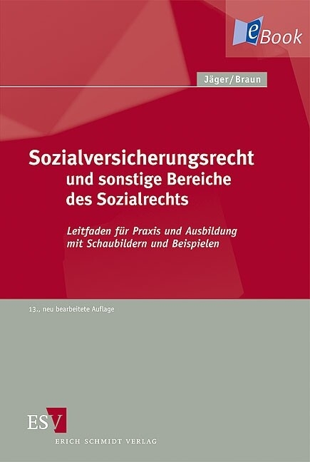 Sozialversicherungsrecht und sonstige Bereiche des Sozialrechts -  Hans-Dieter Braun,  Stefanie Gnirke,  Thomas Göhde,  Günter Hans,  Michael Heinrich,  Thorsten Schindler