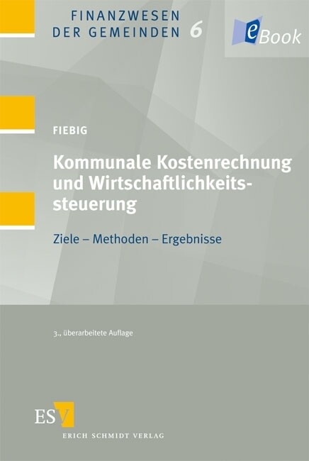Kommunale Kostenrechnung und Wirtschaftlichkeitssteuerung -  Helmut Fiebig