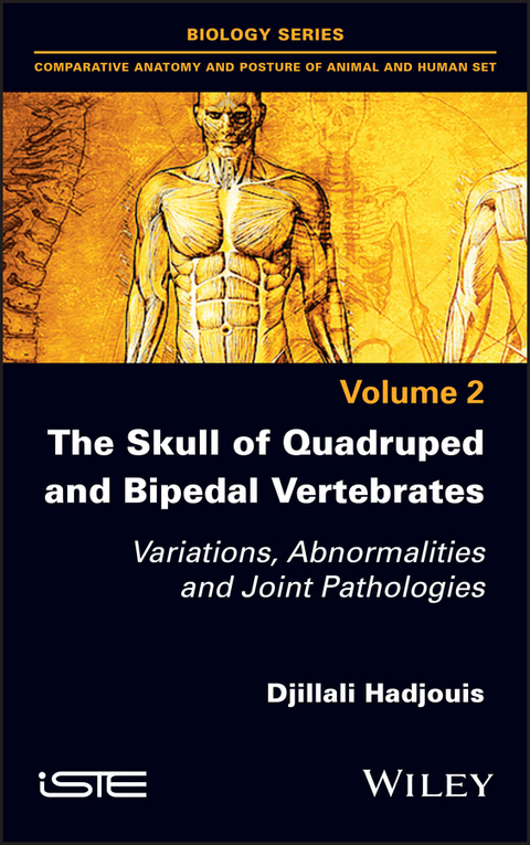Skull of Quadruped and Bipedal Vertebrates -  Djillali Hadjouis